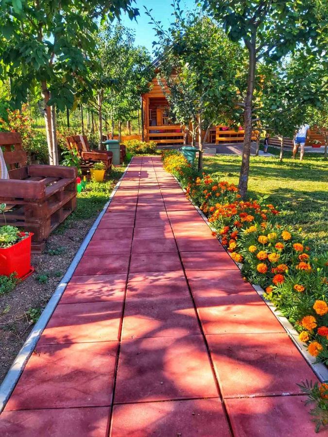 Holiday Bungalows & Food Plav Ngoại thất bức ảnh
